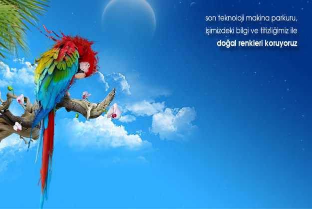 dijital bayrak poster bask&inodot;s&inodot;
